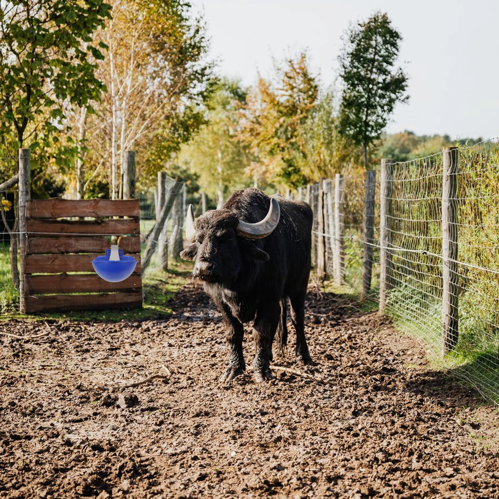 

Livestock Drinking Water Cow Water Bowl Livestock Drinking Bowl Plastic Automatic Feeder Stable Level Farm Helper Blue