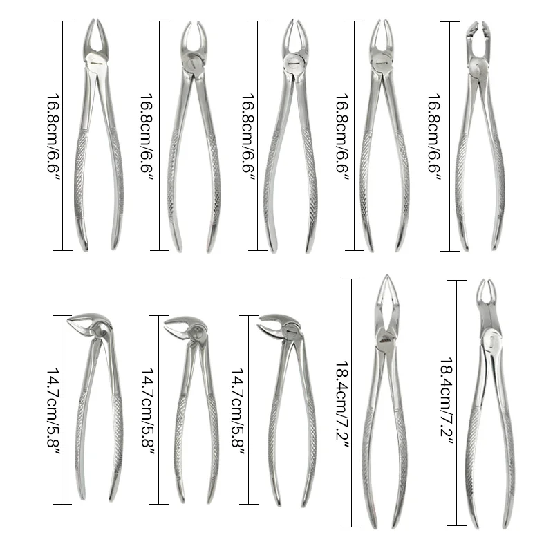 10 sztuk/zestaw dorosłych kleszcze do ekstrakcji zęba szczypce z Toolkit chirurgia stomatologiczna instrumenty ekstrakcji dla klinika