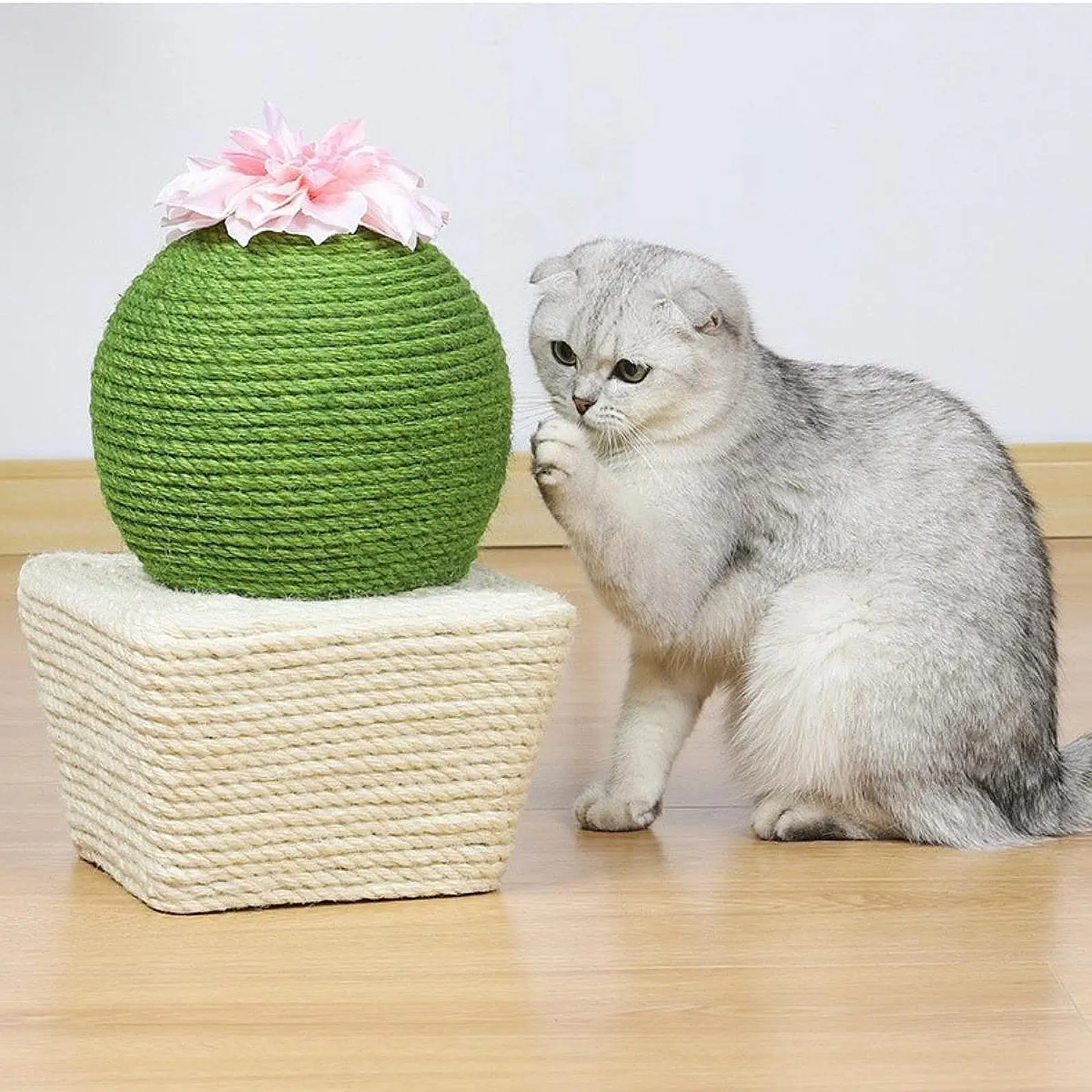 

Cat Scratching Ball Shaped Exercise Cat Scratching Post for Cats