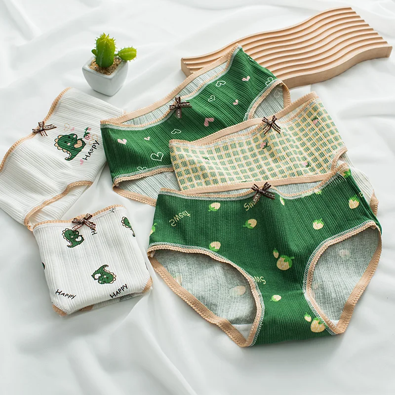 3PCS/Set Panties for Woman Cartoon Cute Animal Green Dinosaur Briefs Print Cotton Underwear Female Ladies Sexy Lingerie Pantys