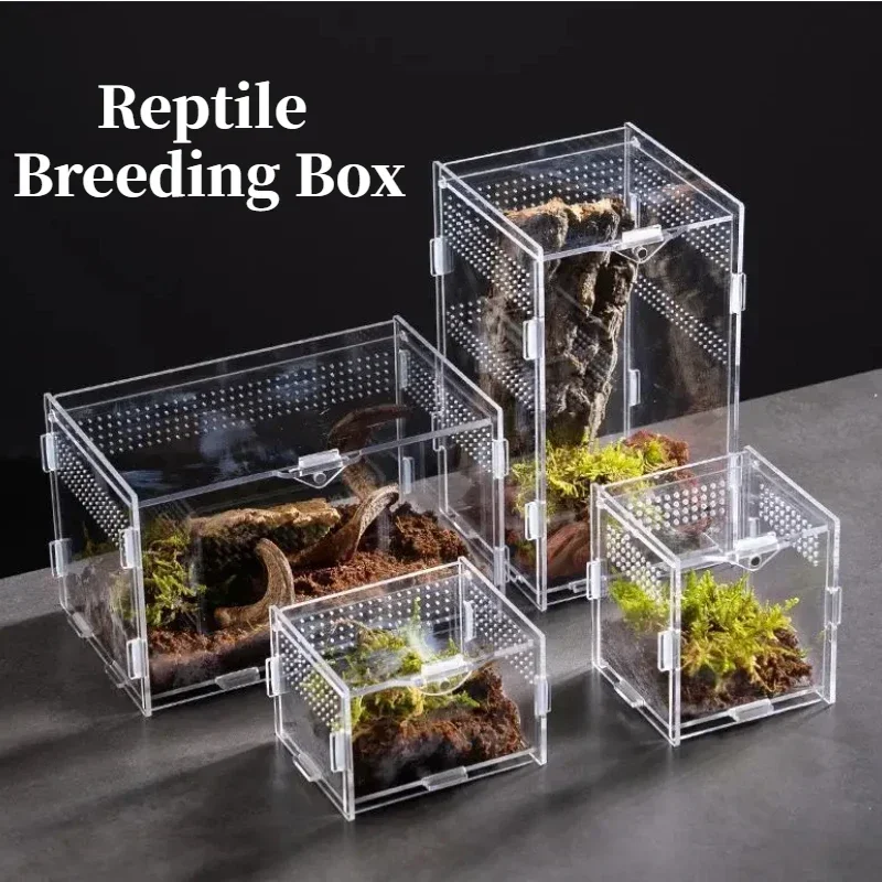 Transparent Acrylic Reptile Terrarium, Modular Assembly Terrarium for Hermit Crabs Ants and Lizards