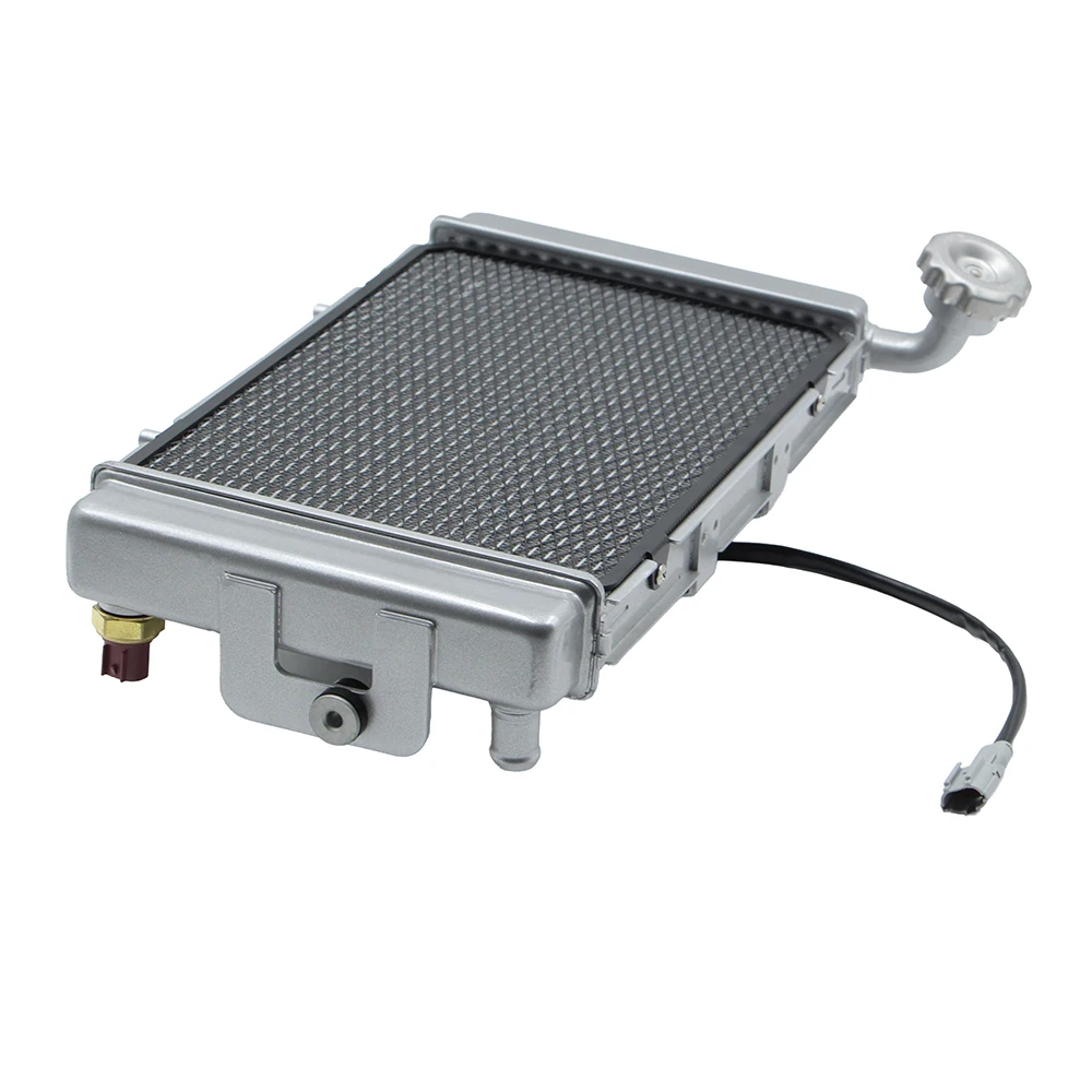 NEW Radiator Cooling Cooler Assy With Electric Fan & Temp Sensor For Buyang Feishen 300 300cc FA-D300 H300 ATV  Quad Bike view 6