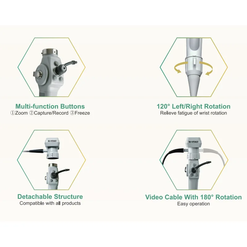 Portable Equine Bronchoscope with 720P High Definition and 1500mm working length veterinary endoscope