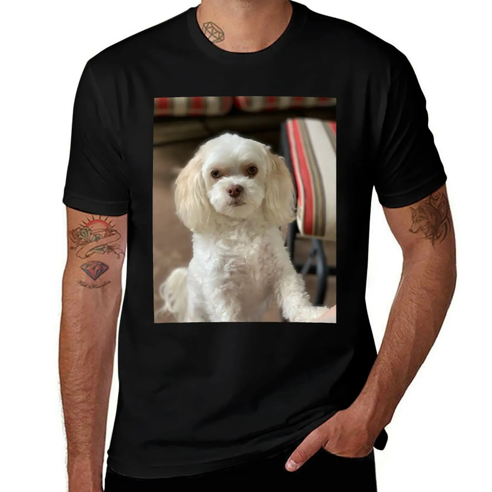 

Футболка Maltipoo wants, мужские хлопковые мягкие футболки, мужская повседневная футболка