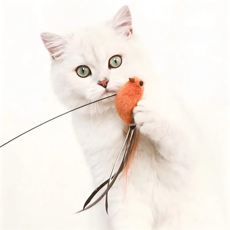 Katzenspielzeug, simulierter Vogel, Feder, Katze, neckender Stick, Epoxidharz-Sauger, Stahldraht, langer Stab, Katze, selbst, hoch, keine schädlichen Inhaltsstoffe – Detail 6