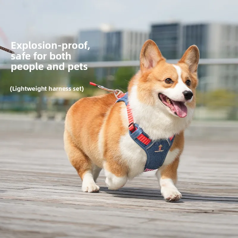 

Поводок-шлейка Tuff Hound для собак: взрывобезопасный, средний размер, для прогулок в парке, для щенков и маленьких собак