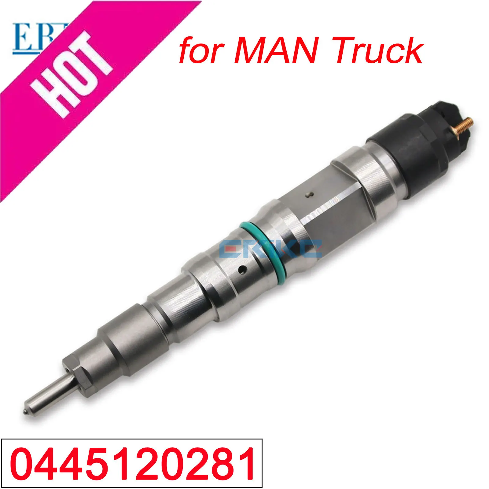 0445120281 Common R…