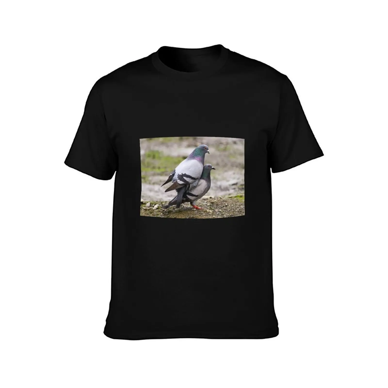 Mating pigeons T-Shirt Breathable Lightweight Summer Top T-Shirt
