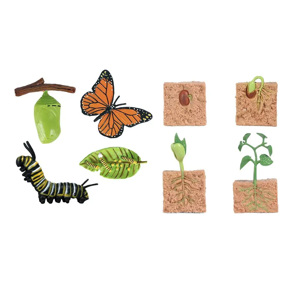 Nature Insects & Plants Growth Figure Kids Pre-school Learning Biology Toys