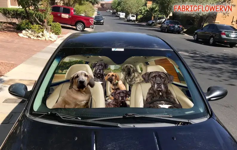 Fila Brasileiro Car Sunshade, Fila Brasileiro Car Decoration, Dog Windshield, Dog Lovers Gift, Dog Car Sunshade, Gift For Mom, G