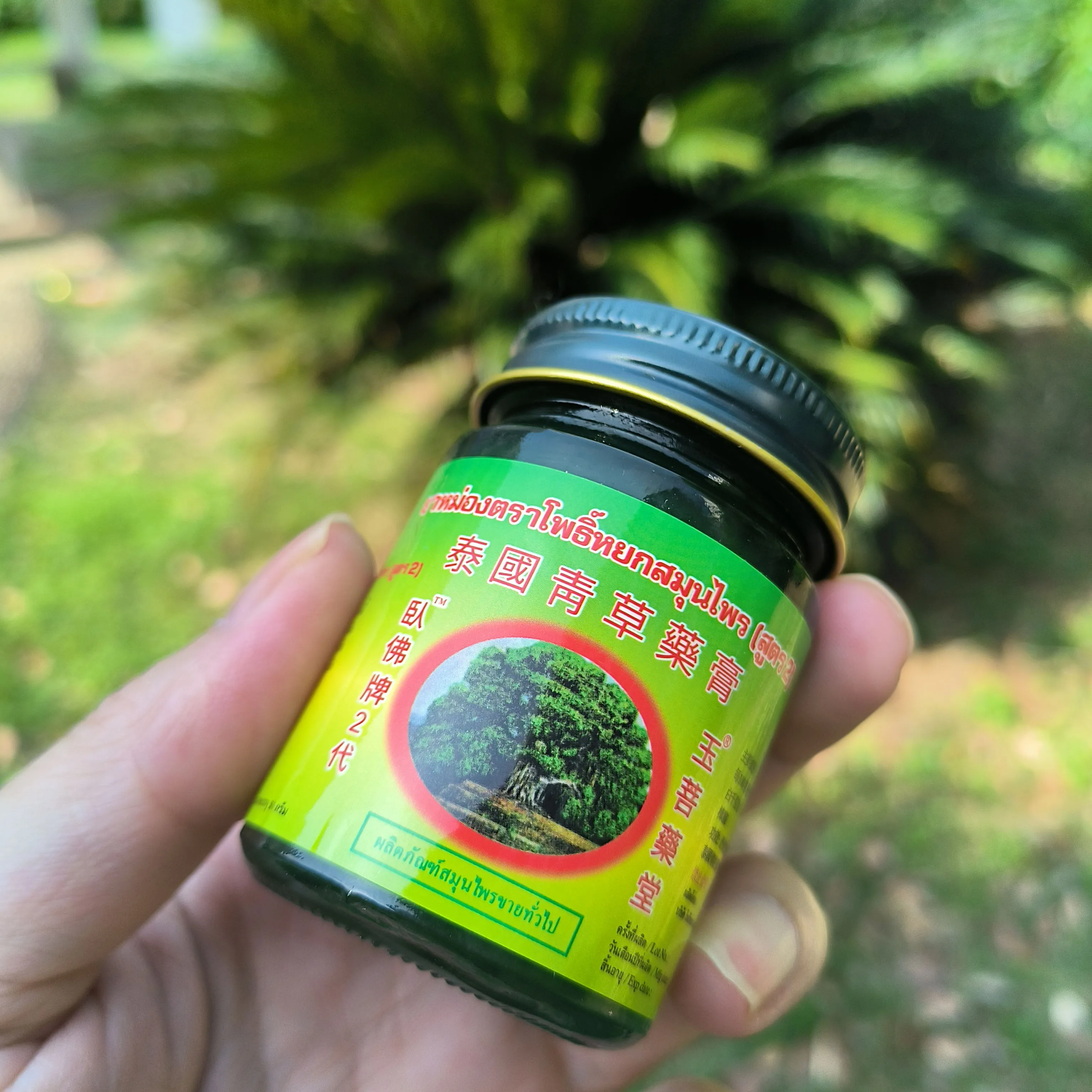 Thai Golden Buddha Herbal Ointment V2, Cooling Itch Relief for Bug Bites & Skin Irritation