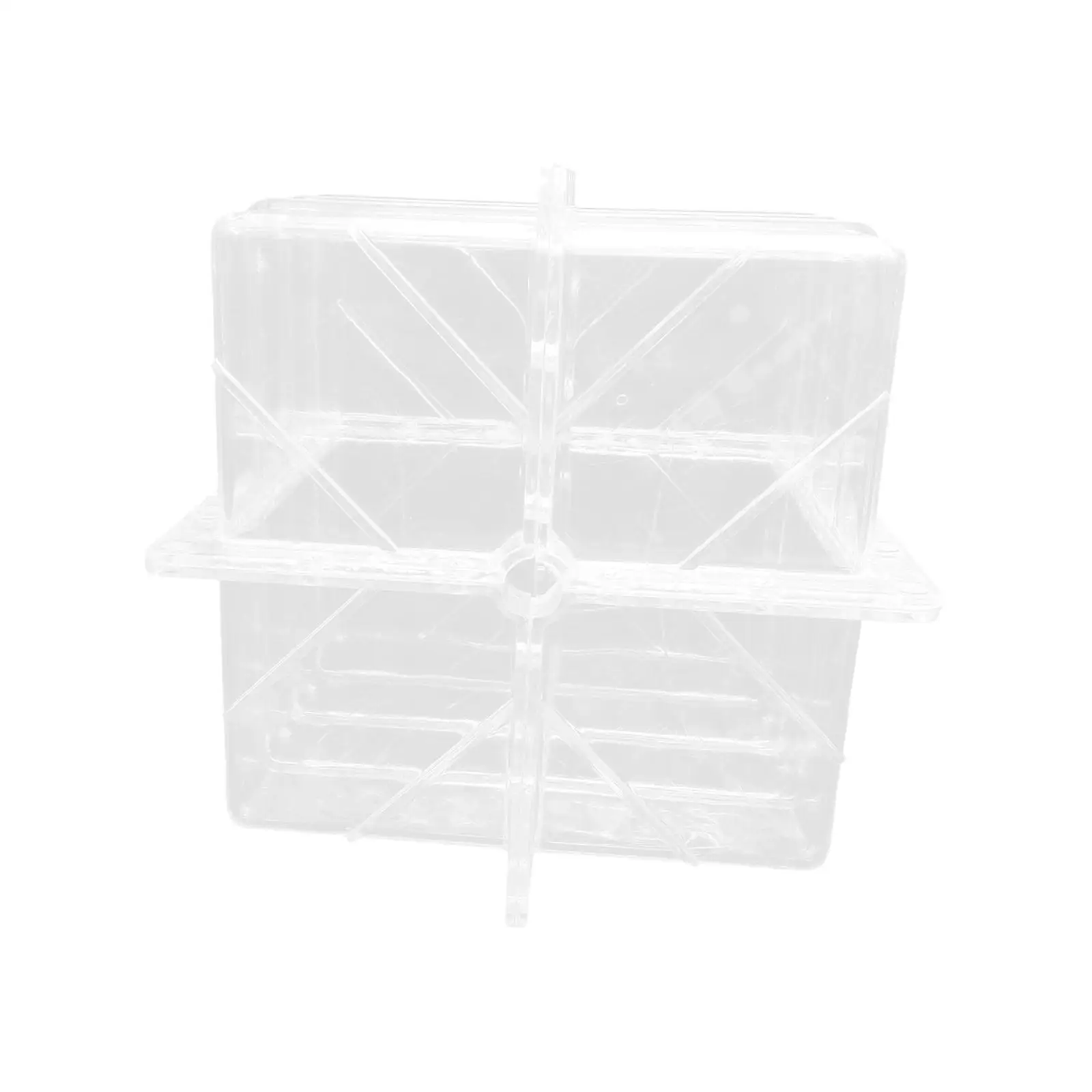 

Watermelon Shaping Tool Reusable Lightweight Premium Unique Clear Square Shaped Watermelon Growing Model Fruit Forming Tool