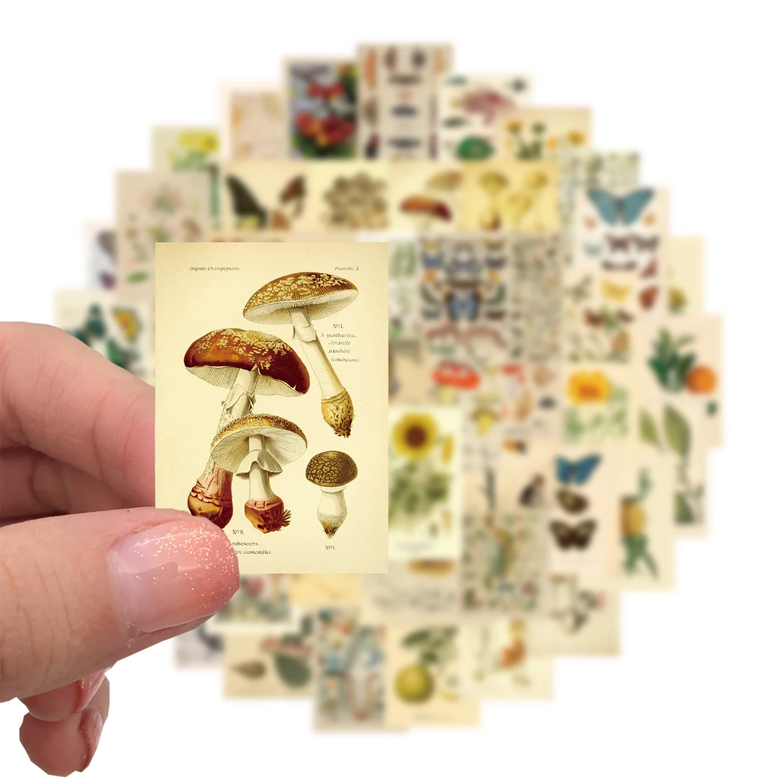 50PCS Cartoon Retro Mushroom Plants Graffiti Stickers for Luggage Laptop Ipad Skateboard Gift Mobile Phone Car Stickers