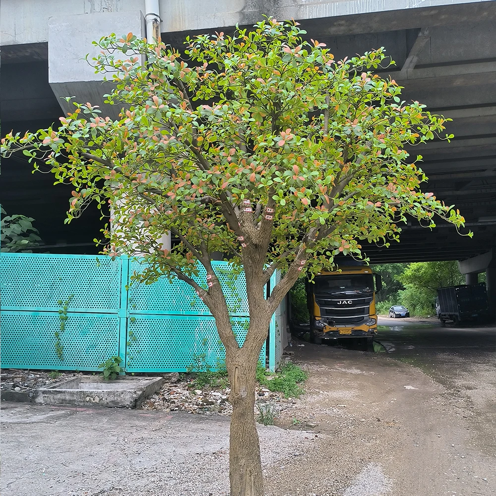 

Large 3m-5m Height Simulated Bell Tree Artificial Japanese Wedding Plant Floor Use Fiberglass Home Decor Island Spring Flowers