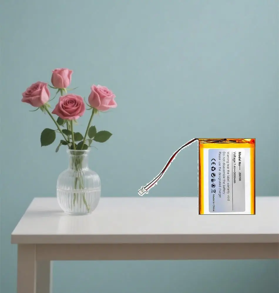 

For Ibasso DX100 Premium Replacement Polymer Battery 3000Mah