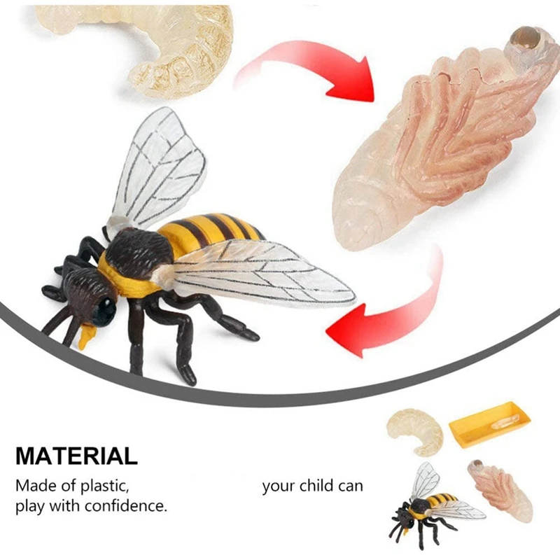 Pack Of 12 Insect Figurines Life Cycle Of Honey Bee Realistic Insects Figures Toys Educational Science Model Toy