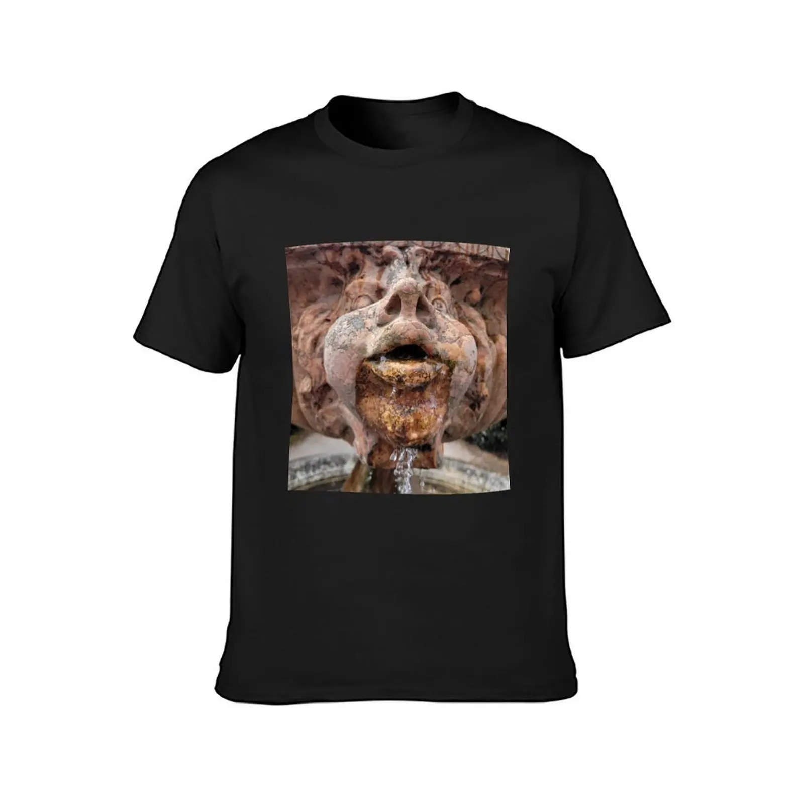 Gargoyle dribbling water, water fountain, Sussex England T-Shirt sublime vintage tops tshirts for men