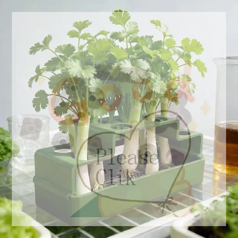 【HG】A Hydroponic System Specifically Designed For Scallion Cultivation, Enabling Repeated Growth.