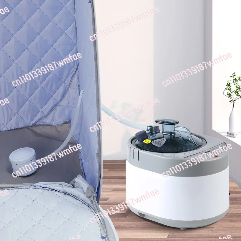 4L Sauna Steam Generator Portable Sauna Steamer with Remote Control Home Sauna Steam Pot Stainless Steel Pot