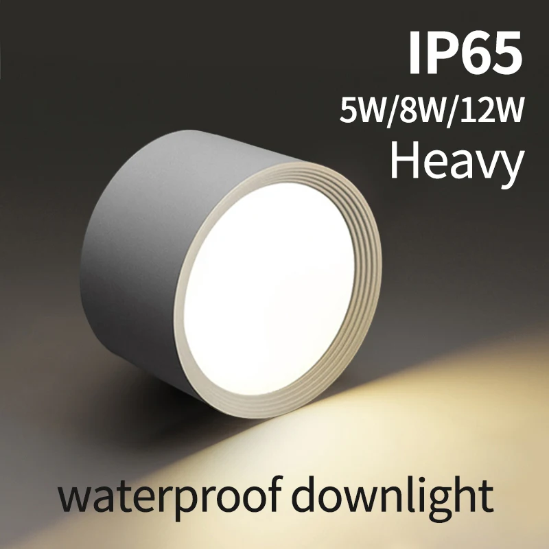 

P65 downlight waterproof DC12V/36V LED ceiling lamp AC220V outdoor spotlight open-mounted 5W 8W 12W high-brightness lighting