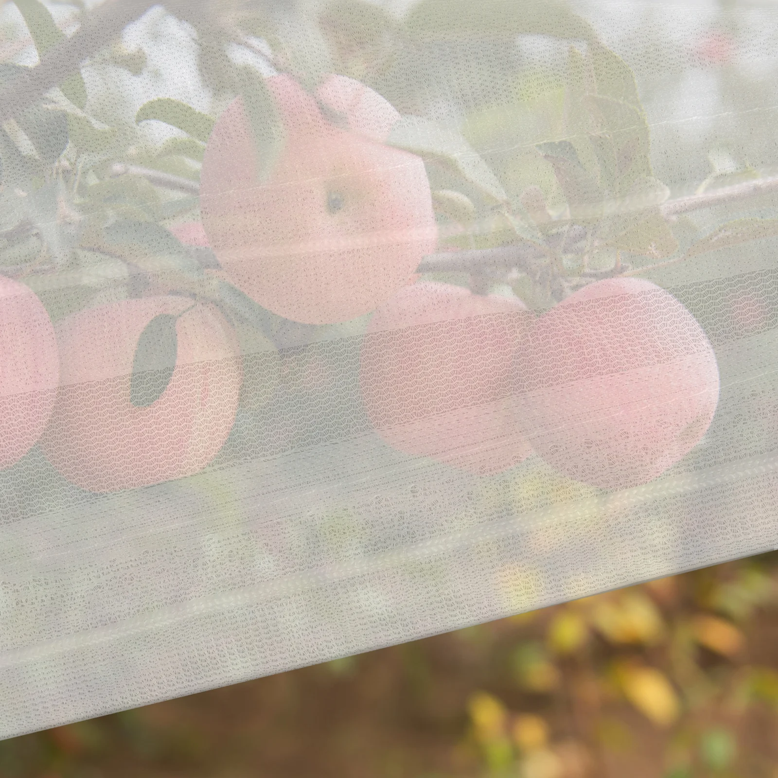 

3Pcs Plant Mesh Cover Bags Drawstring Netting Insect Barrier Plant Protection Garden Covers Garden Netting Barrier