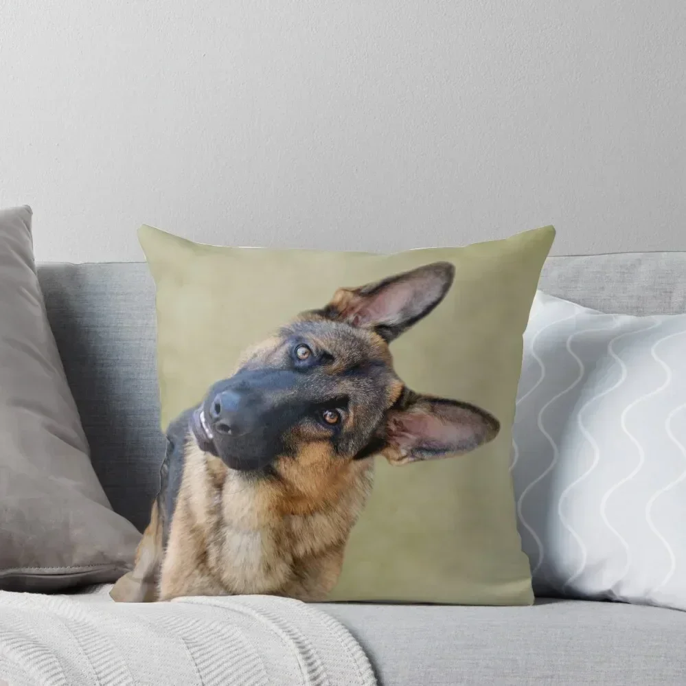 

Silly Boy Throw Pillow Decorative Pillow Covers For Sofa ornamental pillows pillow