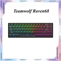 Teamwolf Raven68 Magnetic Switch Mechanical Keyboards 68keys RGB Hot Swap Quick Trigger Wired Gaming Keyboard Gifts for E-sports