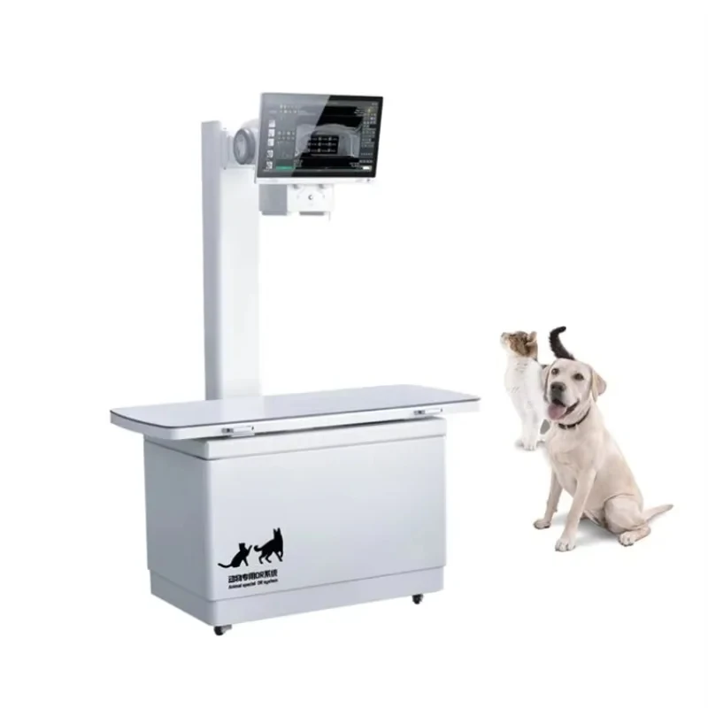 Durable Derry X6 32KW Digital Imaging System Pet Convenient Veterinary X Ray Equipment For Animals Digital X-ray Machine