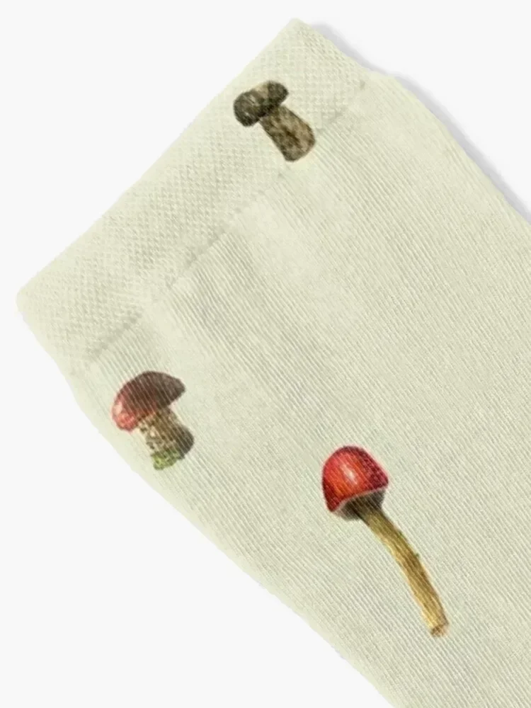 الفطر - جوارب سيلفيا بليث، جوارب سعيدة ساخنة لركوب الدراجات الاحترافية للجري للأولاد، جوارب نسائية #2