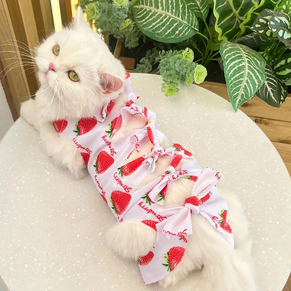 Pet Neuter Clothing Fruit Print Cat Neutering Suit Weaning Sterilization Jumpsuit for Small Dogs Cats Postoperative Care Clothes