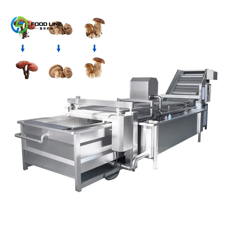 Laveuse de matières premières pour snacks, personnalisée et efficace, pour le traitement des noix, avec mises à niveau logicielles