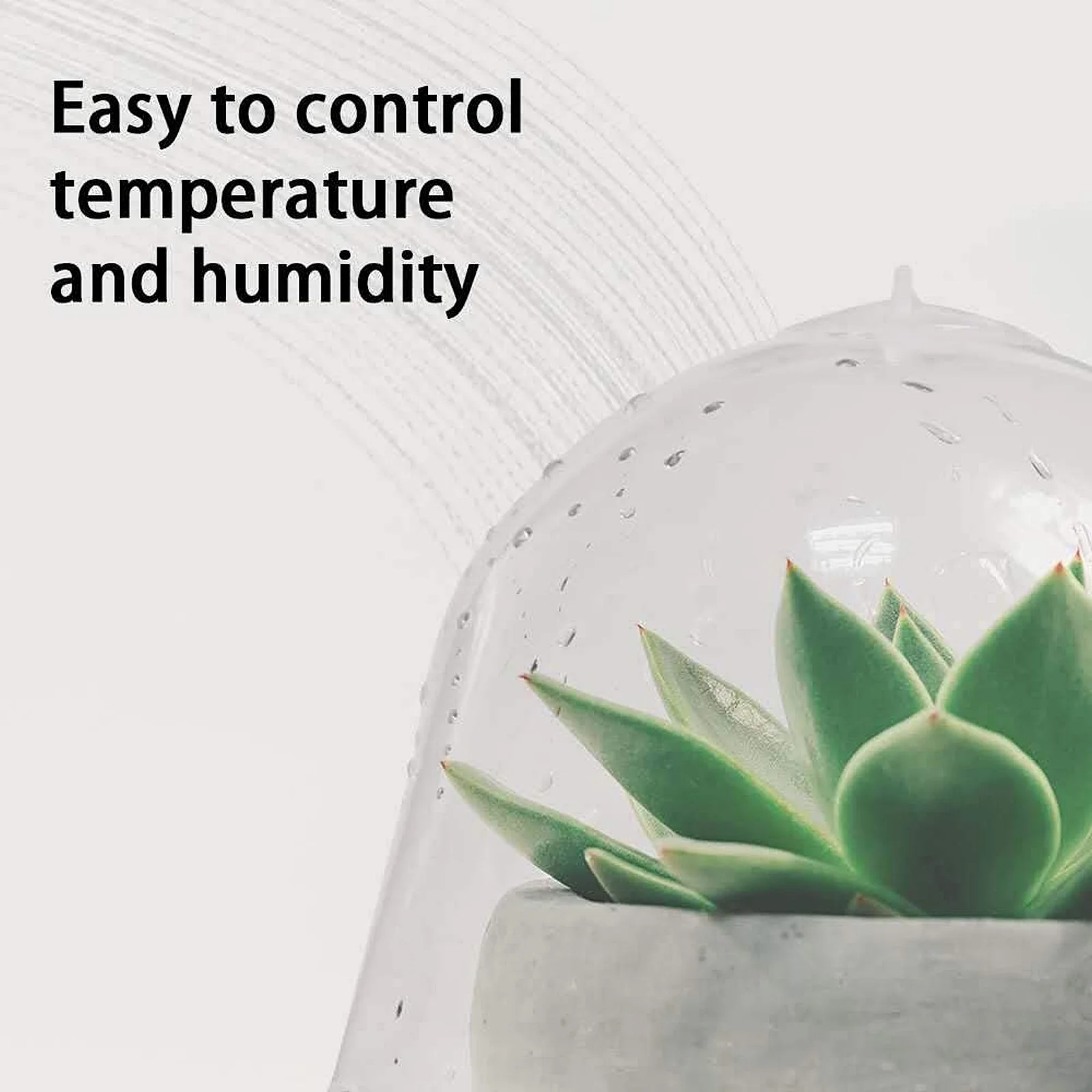 

Transparent Plant Cloche for Seedlings Premium Plastic Humidity Dome with Ventilation Control Frost Protection Cover for Healthy