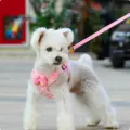 Pink-S