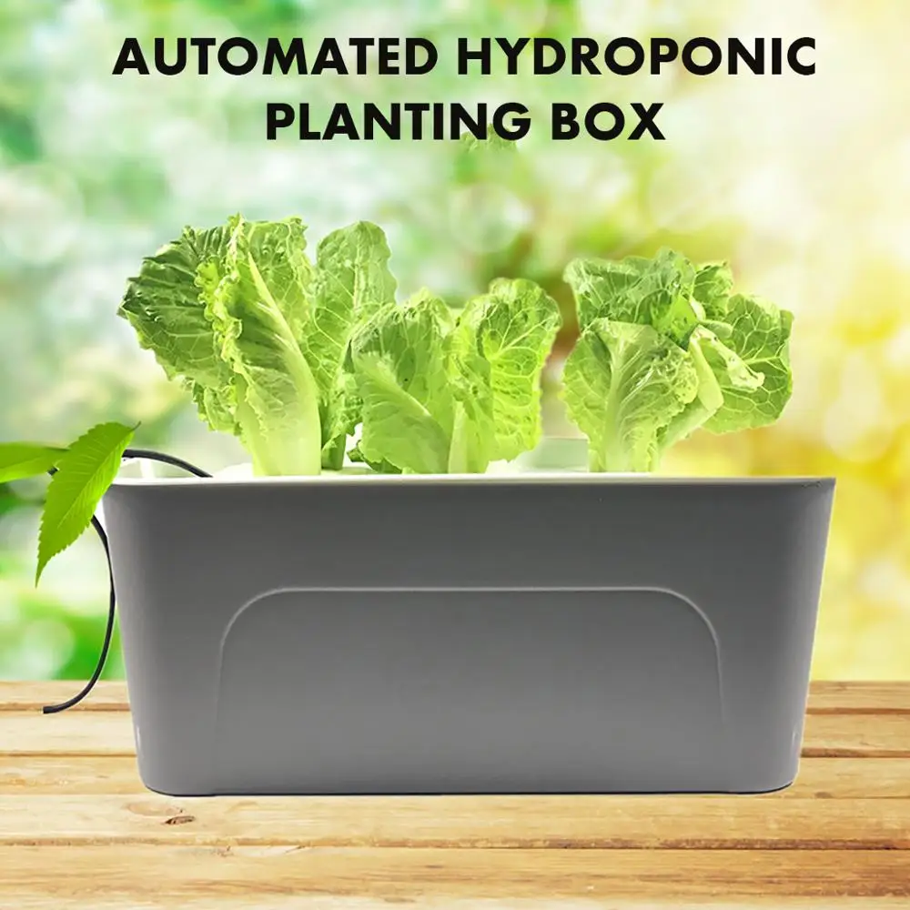 

6 Holes Water Hydroponic Soilless Culture Grow Box Vegetable Planting Water Pum