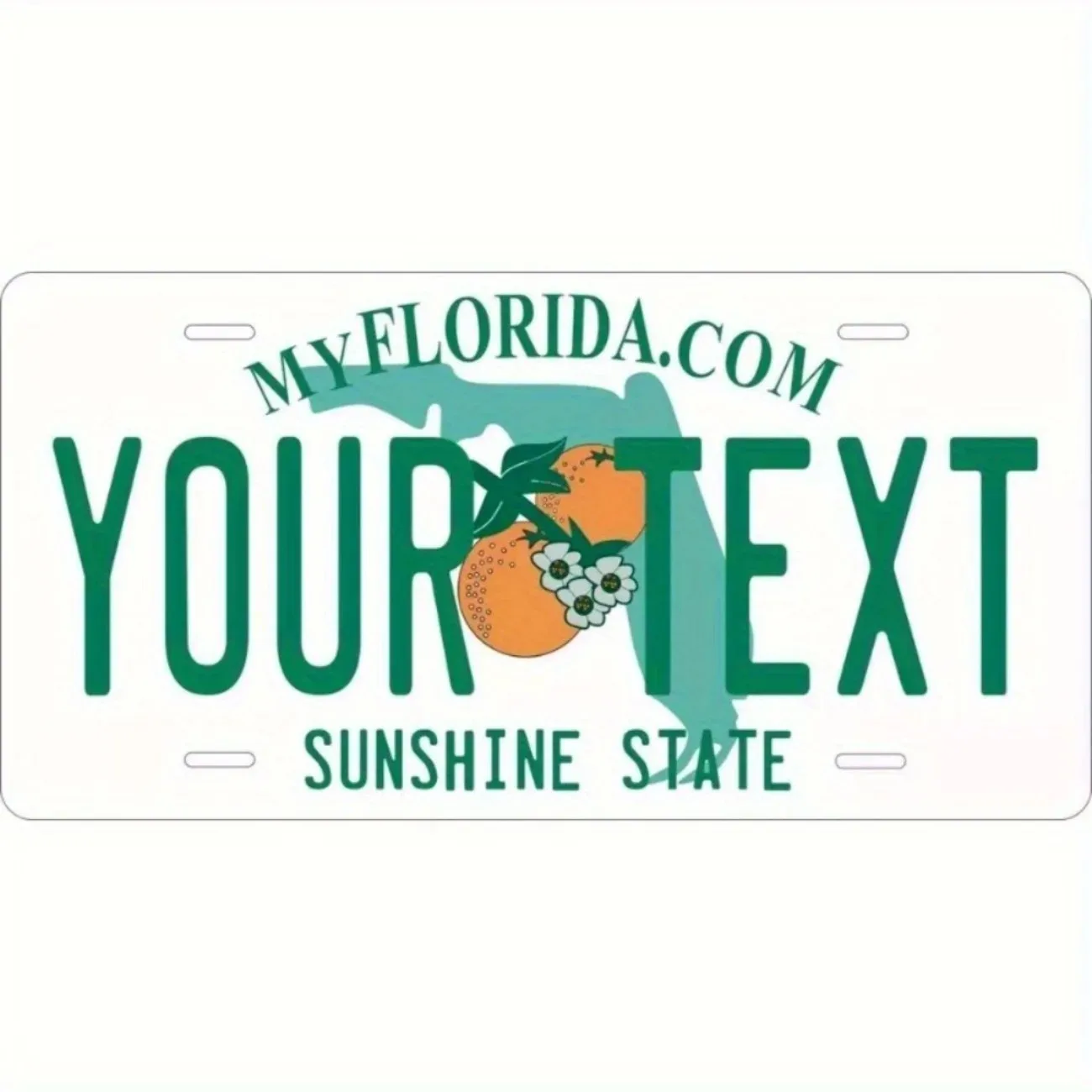 [2D Flach] Personalisiertes Metallschild „Florida Sunshine State“ mit individuellem Text, Wanddekoration (Nur zur Dekoration)