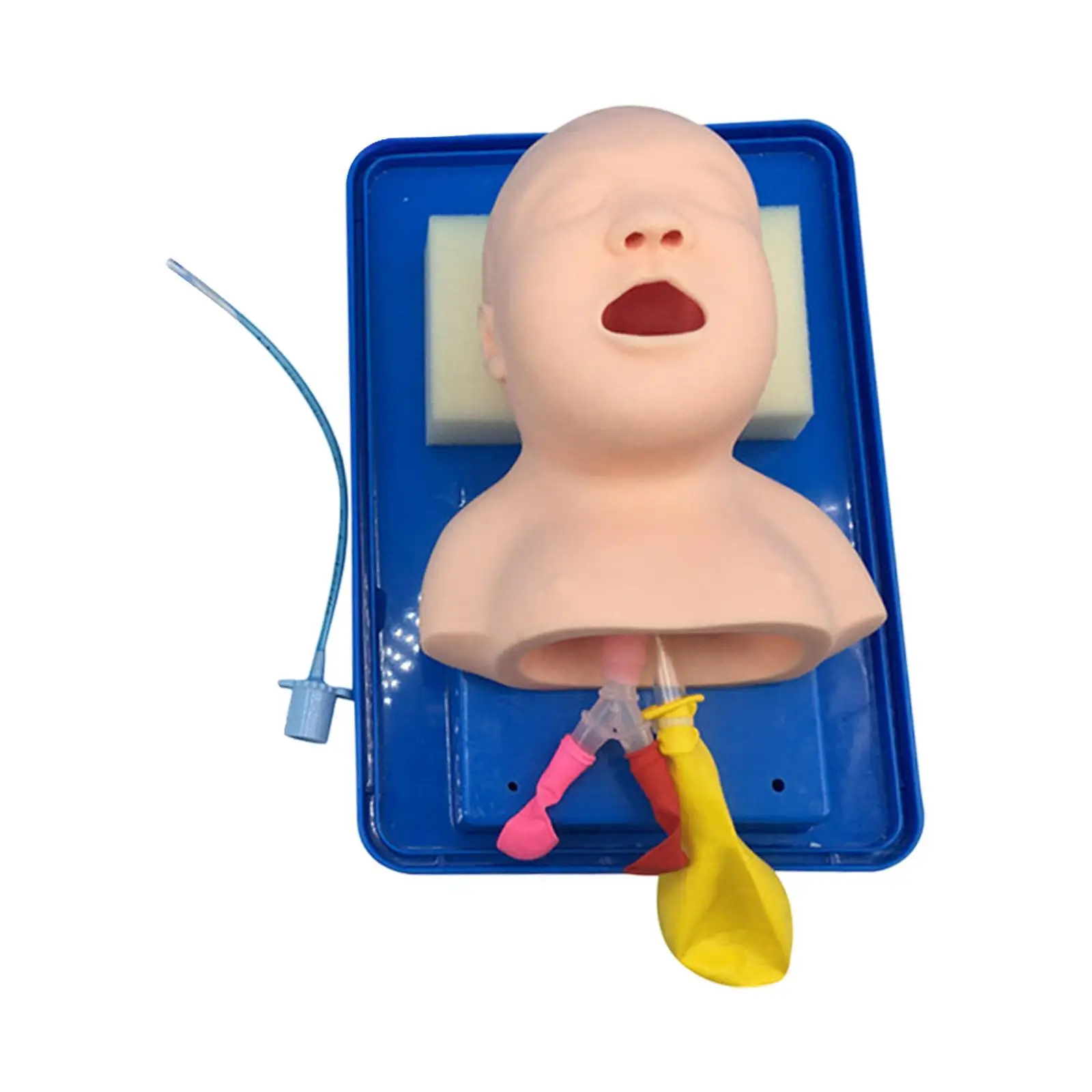 

Infant Intubation Trainer for Practice First Aid Simulation Training Nurses