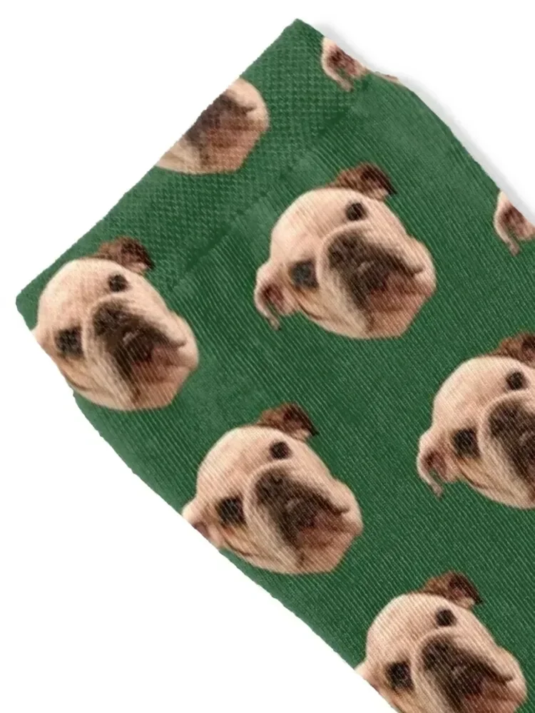 doggy Socks Climbing funny gift compression Boy Socks Women's