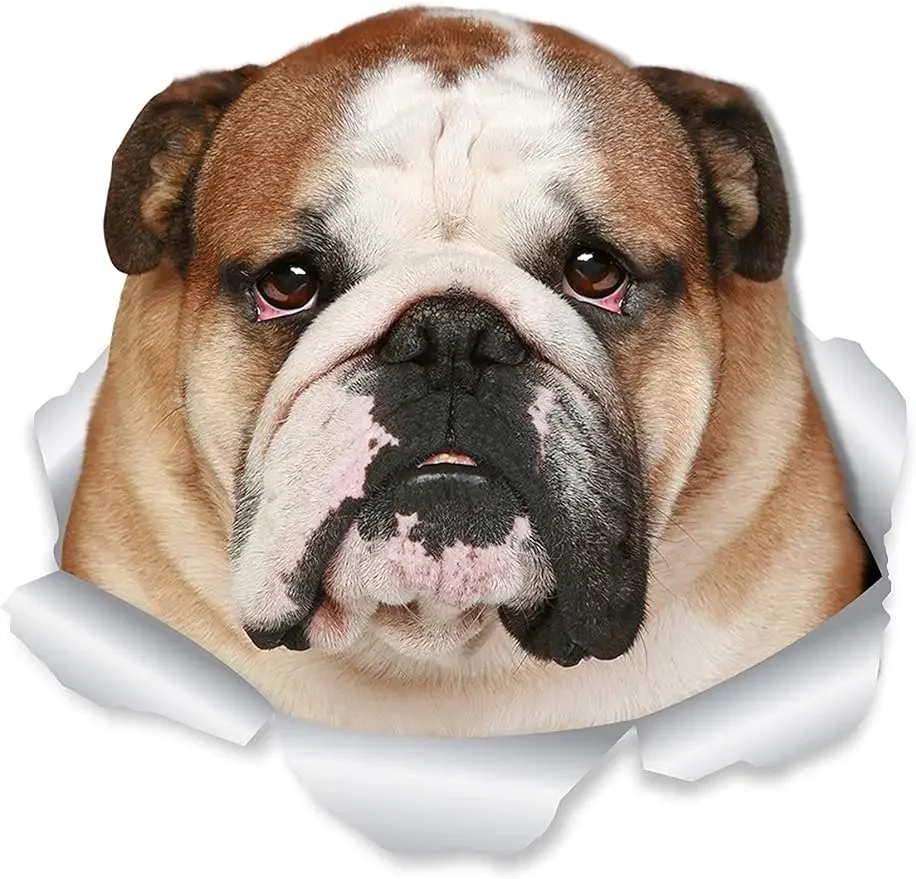 Funny Bulldog Wall Decals Dog Sticker Walls, Cars, Toilet  Laptops Tumblers Windows Cars Trucks