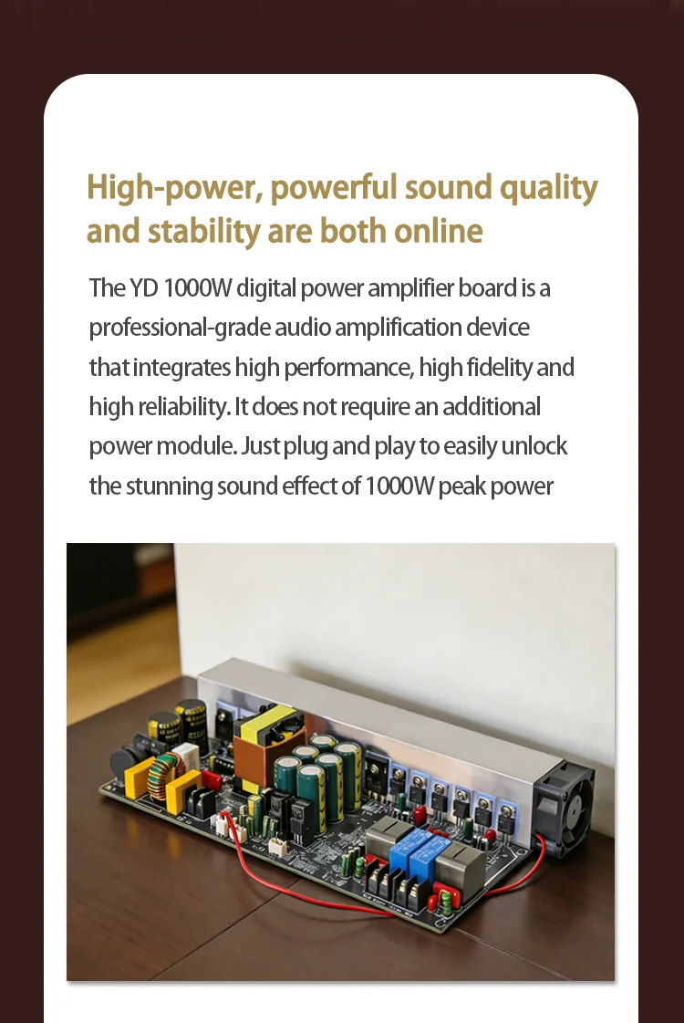 Yd1000W Hochleistungs-Digitalverstärkerplatine Zweikanal 500W+500W BTL Brückengesteuert 1000W mit Schaltnetzteil – Detail 2