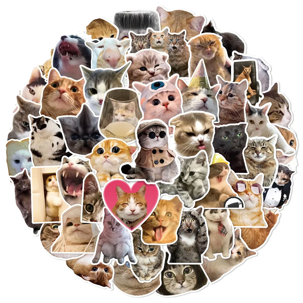 Unique Cute Kitten Face Stickers Set of 50 - Waterproof Durable Vinyl Decals for Creative Decoration RecordingYourLife Store