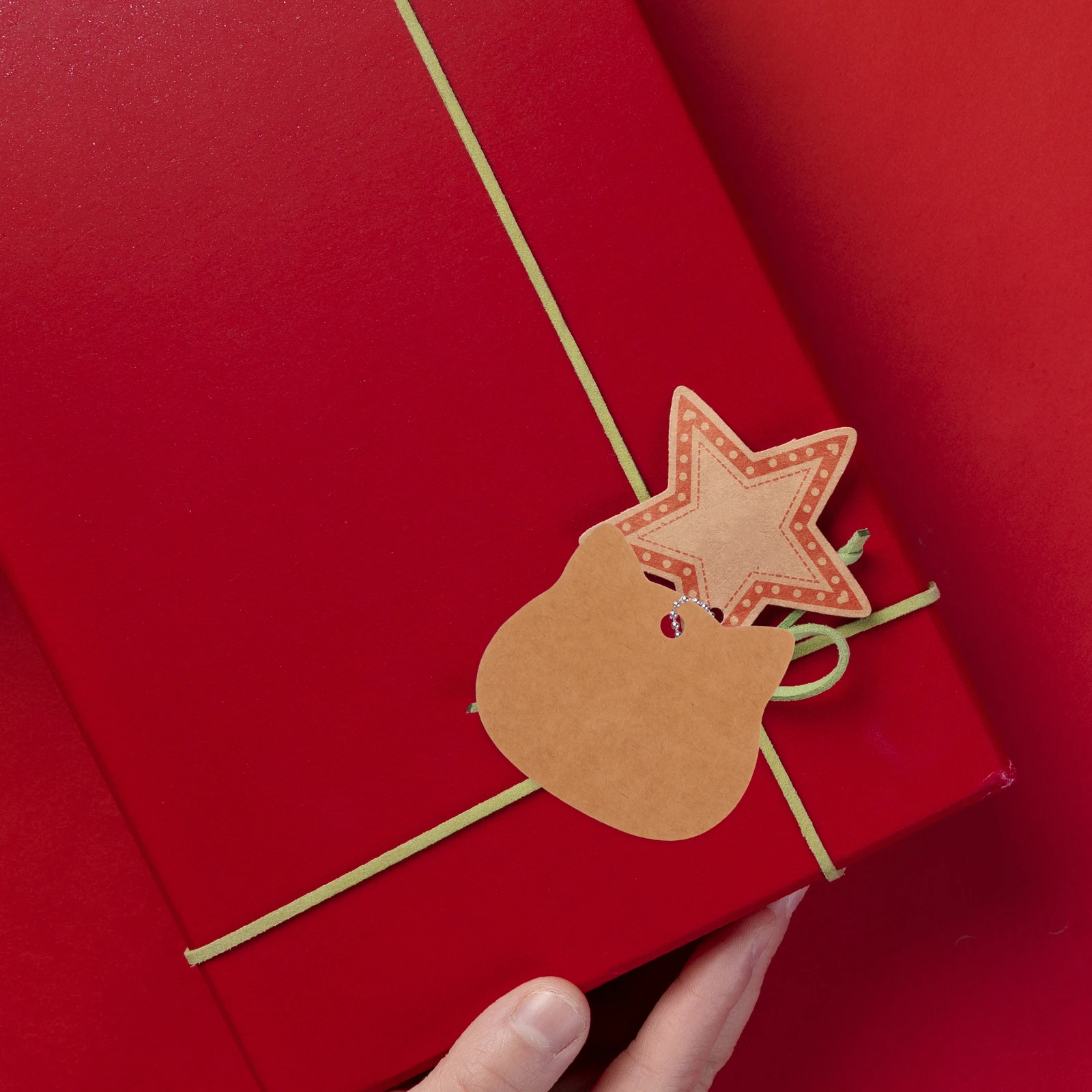 

200pcs Cat Head Kraft Paper Tags Brown Mini Sturdy Hang Labels Diy Blank Business Retail Wrapping Wedding Party Favor Crafts