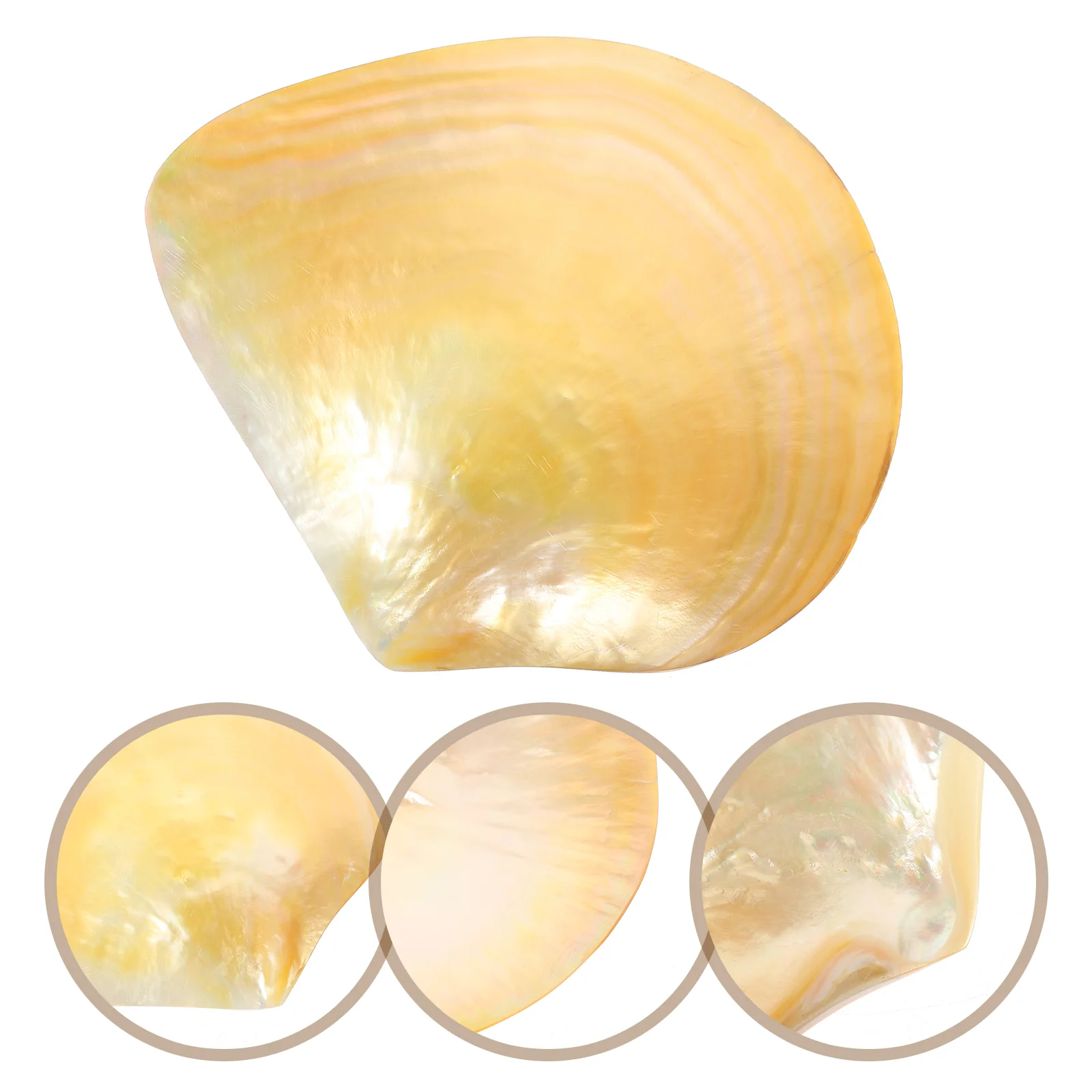 Decoration Caviar Shell Plate Dinner Plates Food Charcuterie Mother Sandwich Tray