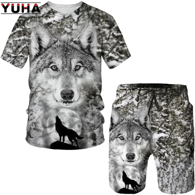 2025 3D Printed Men's T-shirt+shorts Set, Fashionable Hip-hop Round Neck Short Sleeved Casual Outdoor Sports Set