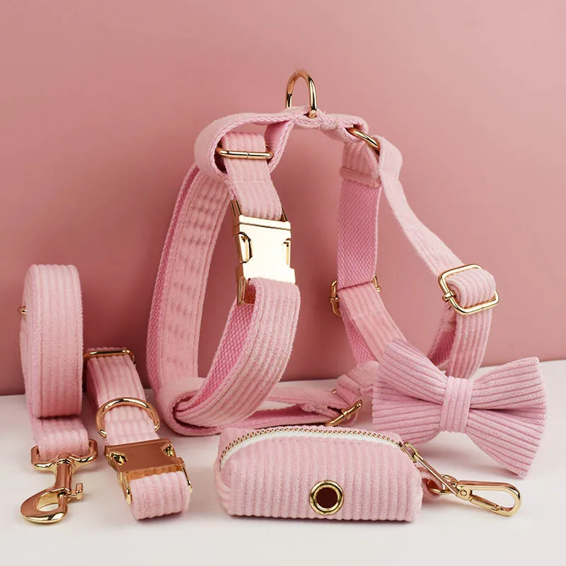 Set collare e guinzaglio per cani in velluto a coste rosa per cani targhetta con incisione personalizzata forniture per animali guinzaglio per cani