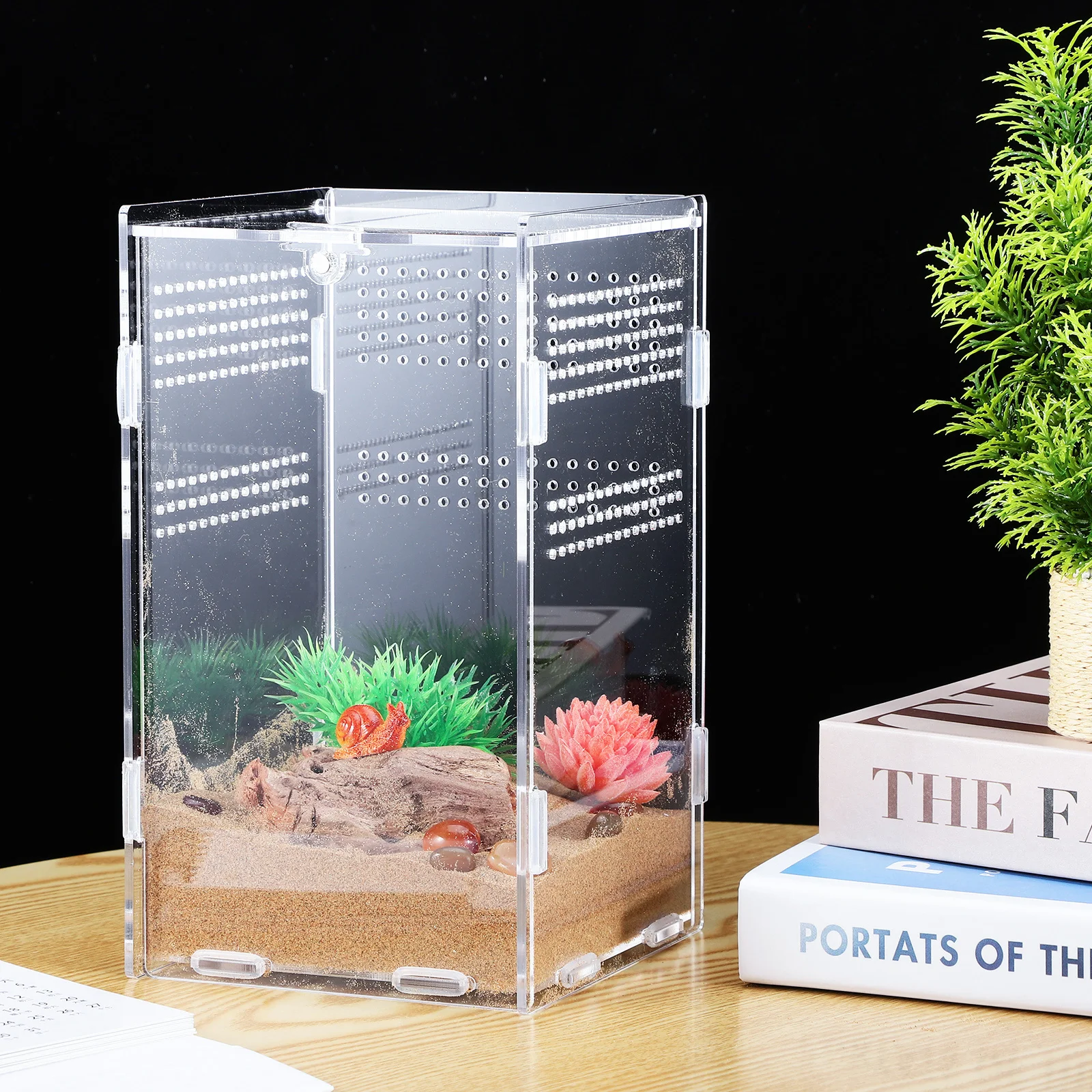 Reptile Feeding Box Sturdy Acrylic Enclosure Easy Assembly Secure Habitat for Tarantula Jumping Spider Lizard Tank