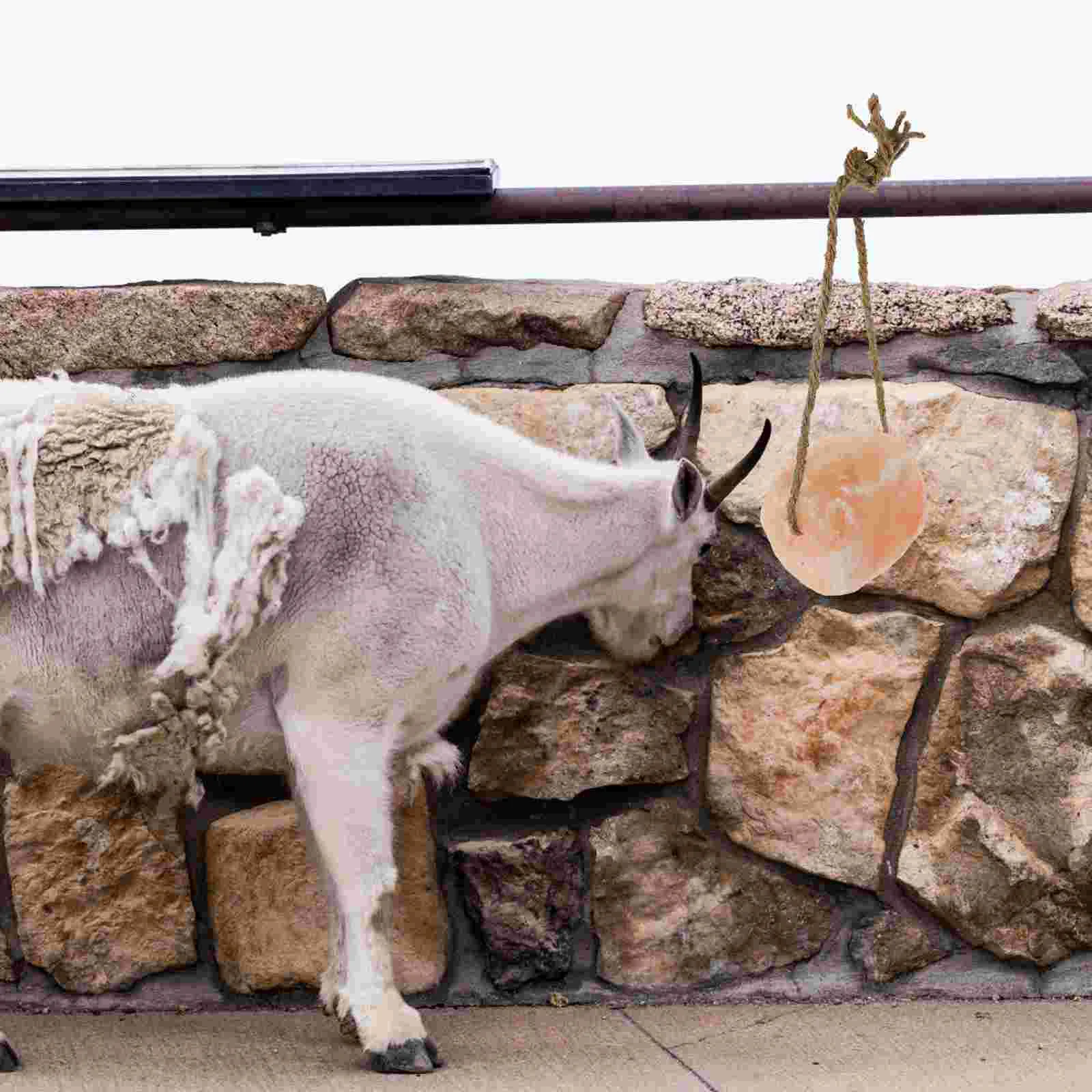 Animal Lick Salt Block Farmhouse Licking Livestock Food Safety Animals Supplies Natural Brick