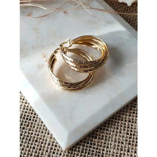 Stainless Steel Steel Ring Earrings