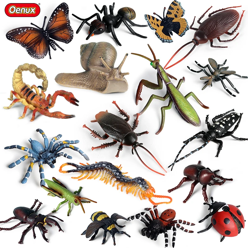 Oenux Insect Animals Model Figurines Miniature Cockroach Ladybug Mantis Butterfly Spider Action Figures Decor Kids Education Toy