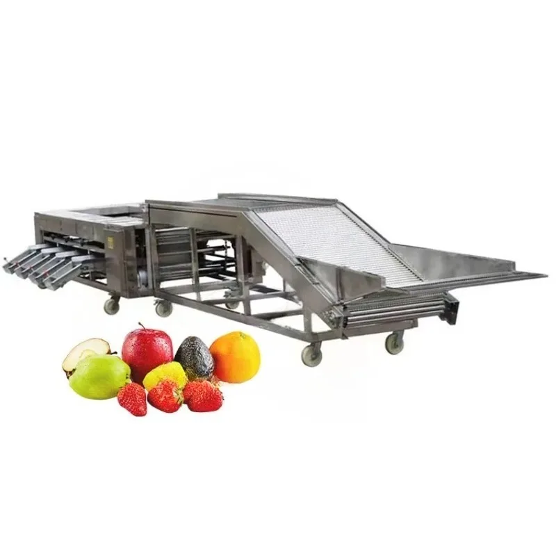 Factory Price Automatic Fruit Vegetable Sorting Potato Tomato Orange Avocado Onion Grading Washing Size Weighing