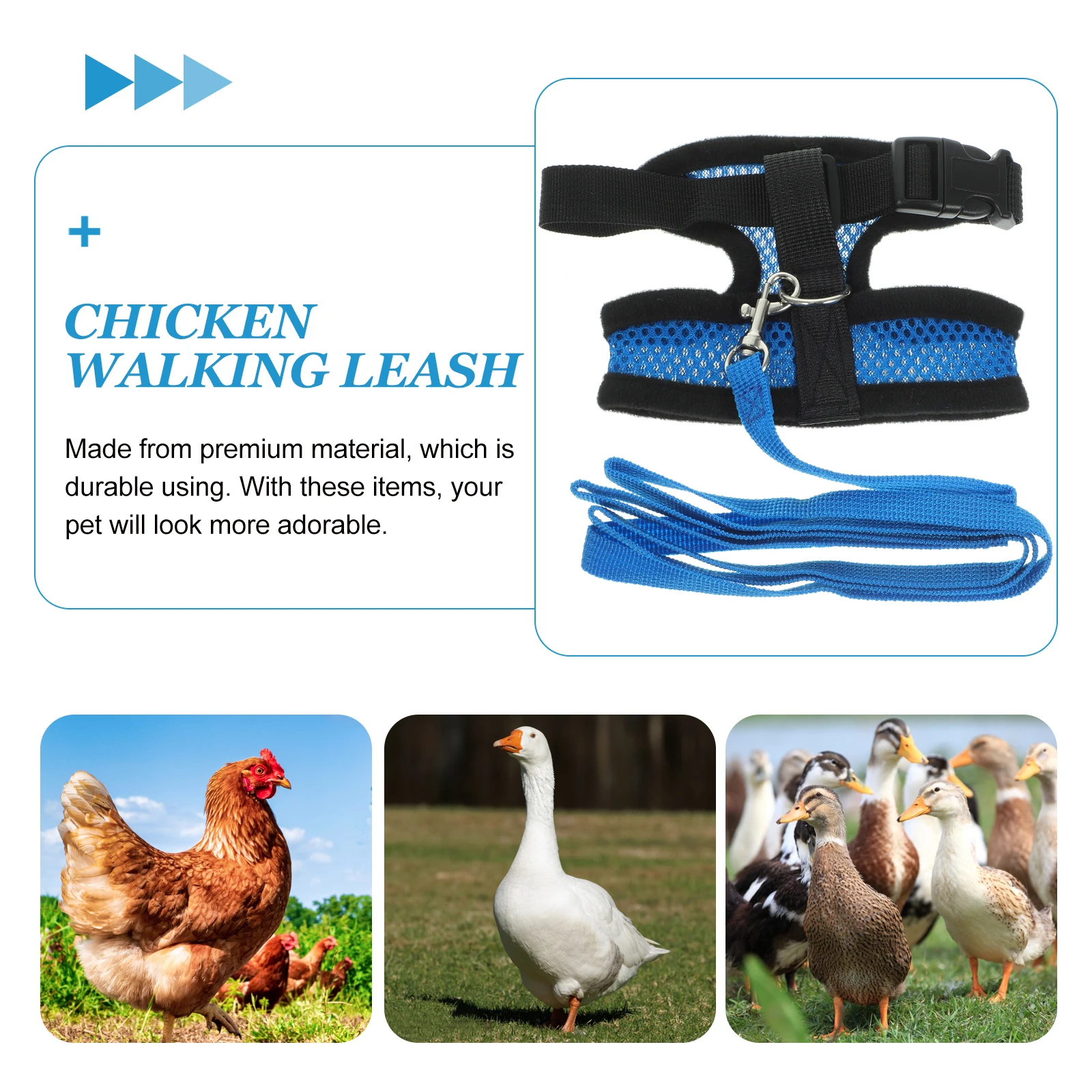 

Lovely Elastic Walking Leash For Chicken Durable Harness Breathable Vest Portable Mesh Chest Strap Adjustable Belt Pulling Rope